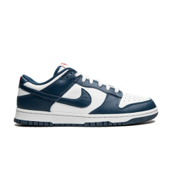 Nike Dunk Low Valerian Blue