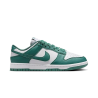 Nike Dunk Low Next Nature Bicoastal (Women's)